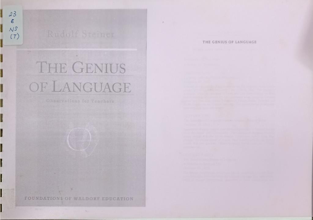 The Genius Of Language