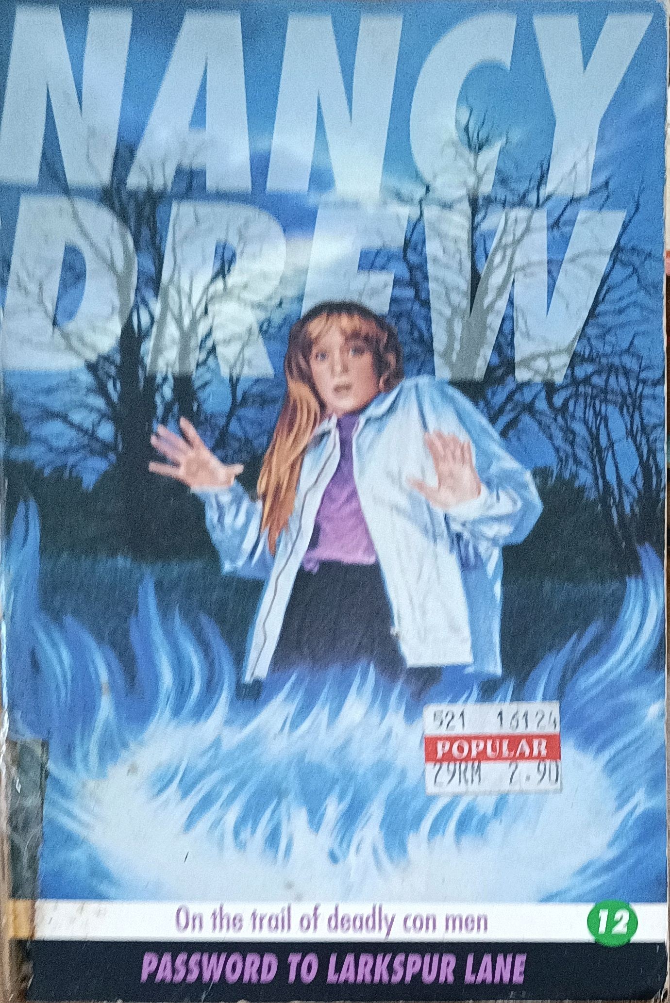 Nancy Drew 12: Password To Larkspur Lane