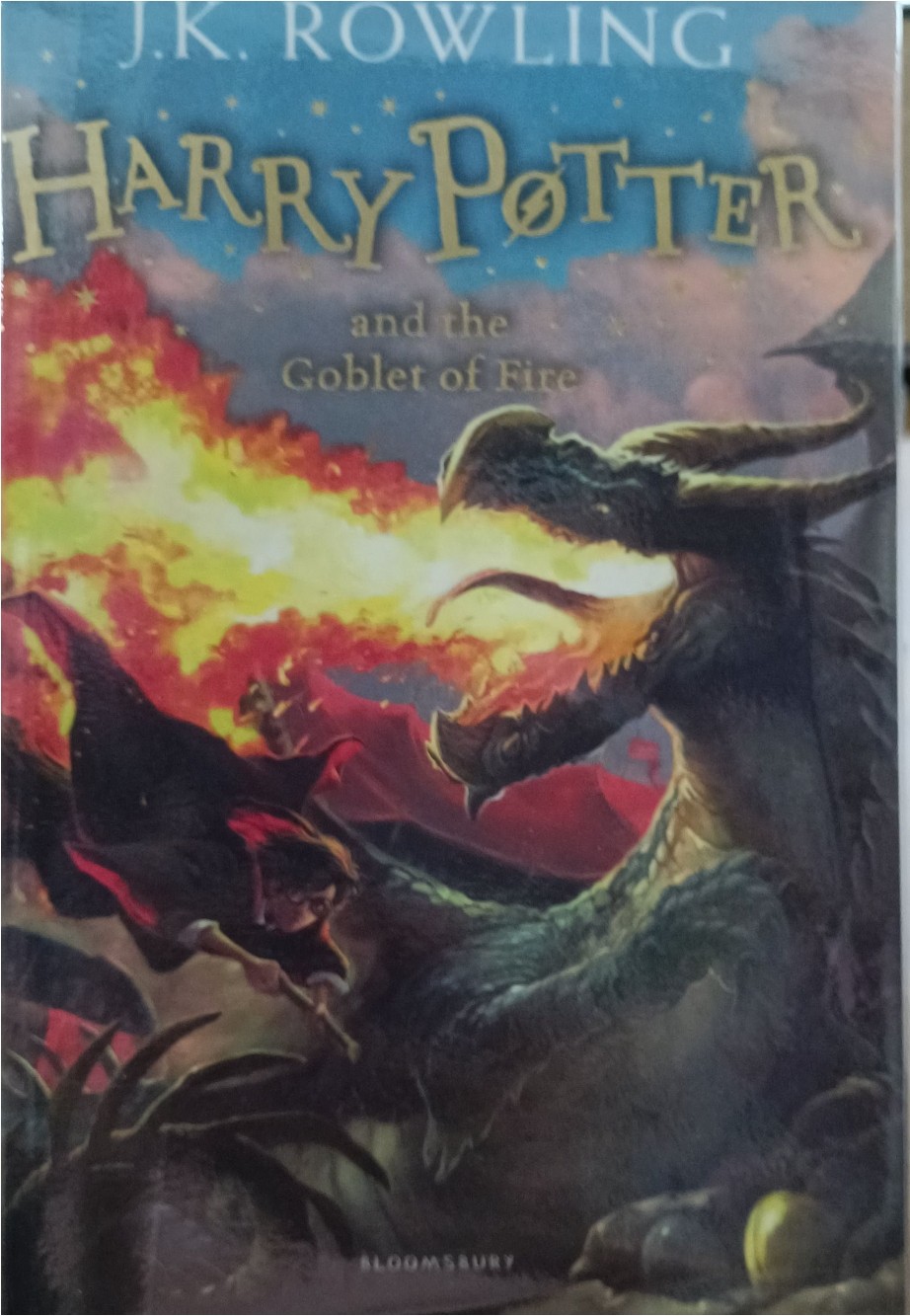 Harry Potter and the Goblet of Fire (4)