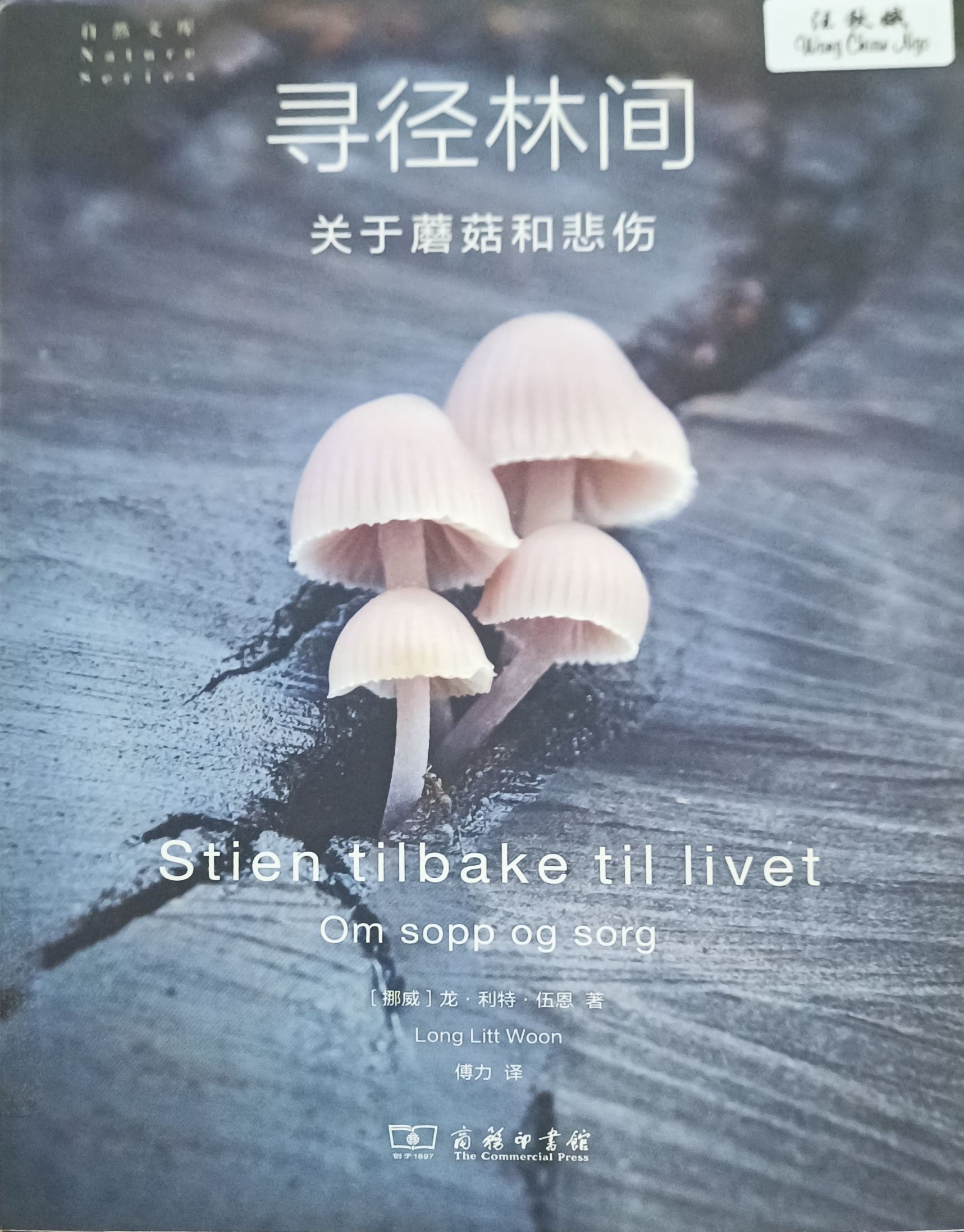 寻径林间 -- 关于蘑菇和悲伤