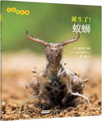 诞生了！蚁蛳（生命的故事）