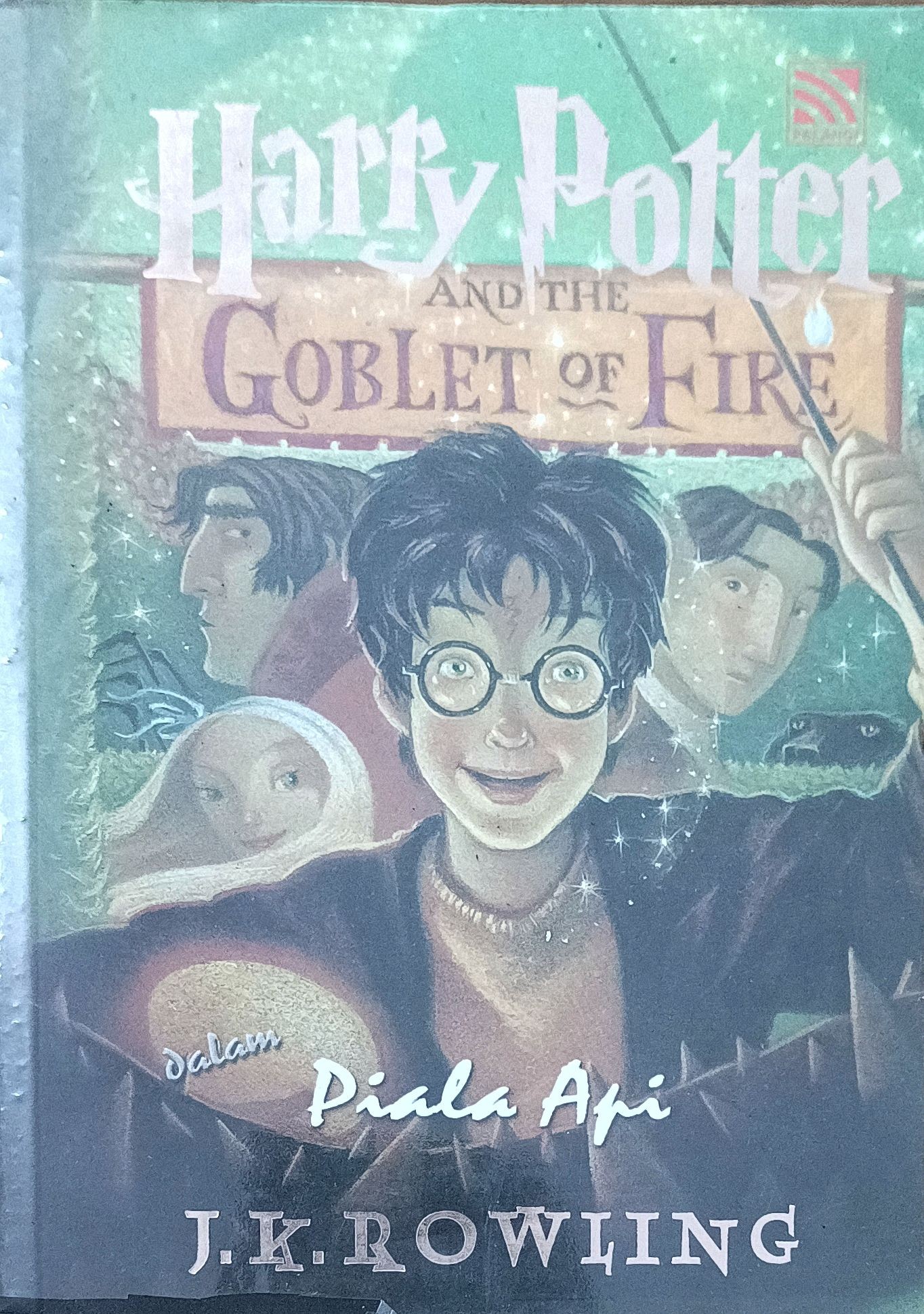 Harry Potter And The Goblet Of Fire (4)
