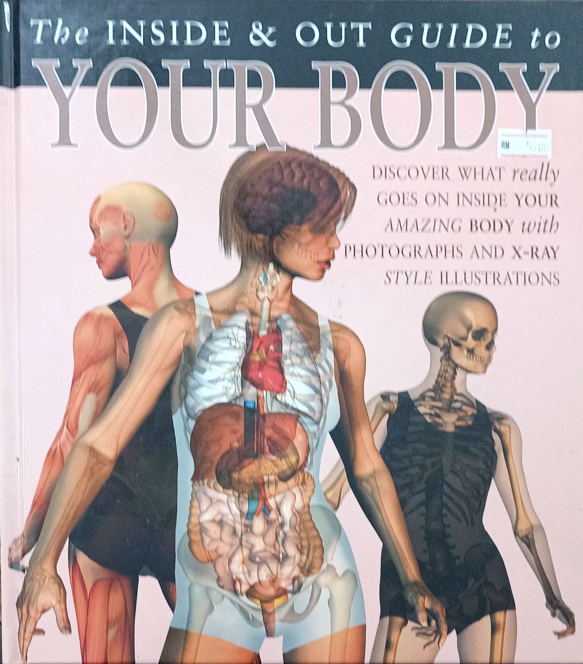 The Inside & Out Guide to Your Body