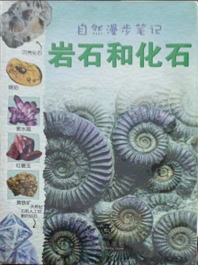 岩石和化石