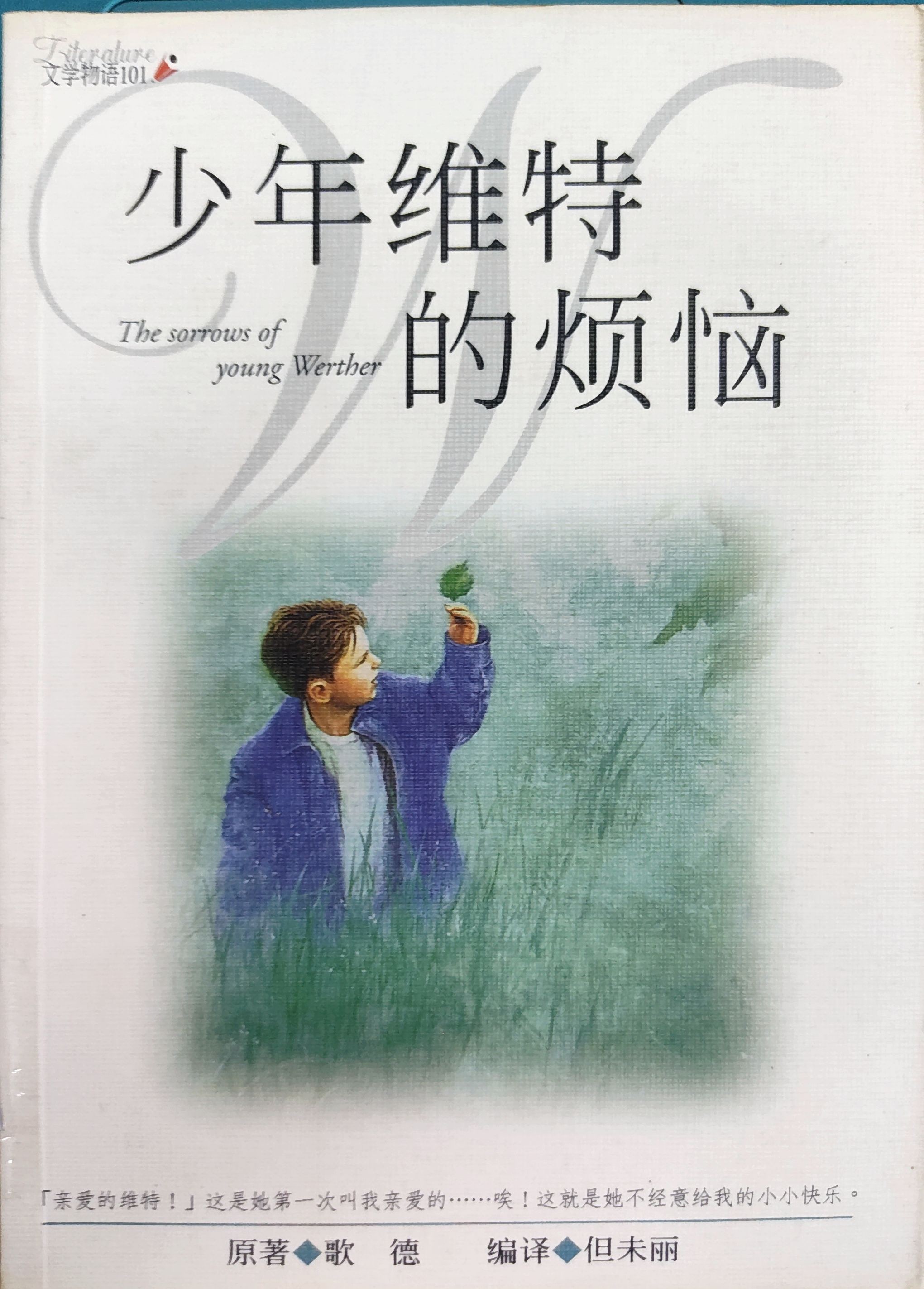 少年维特的烦恼