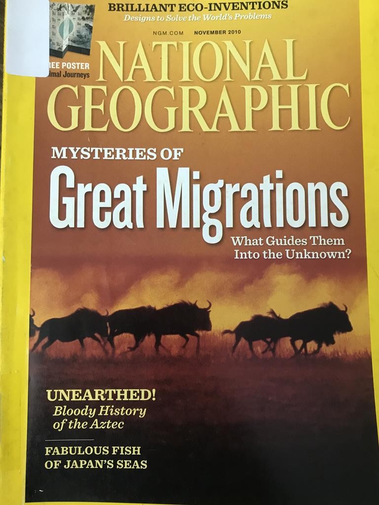 National Geographic - Mysteries of Great Migrations