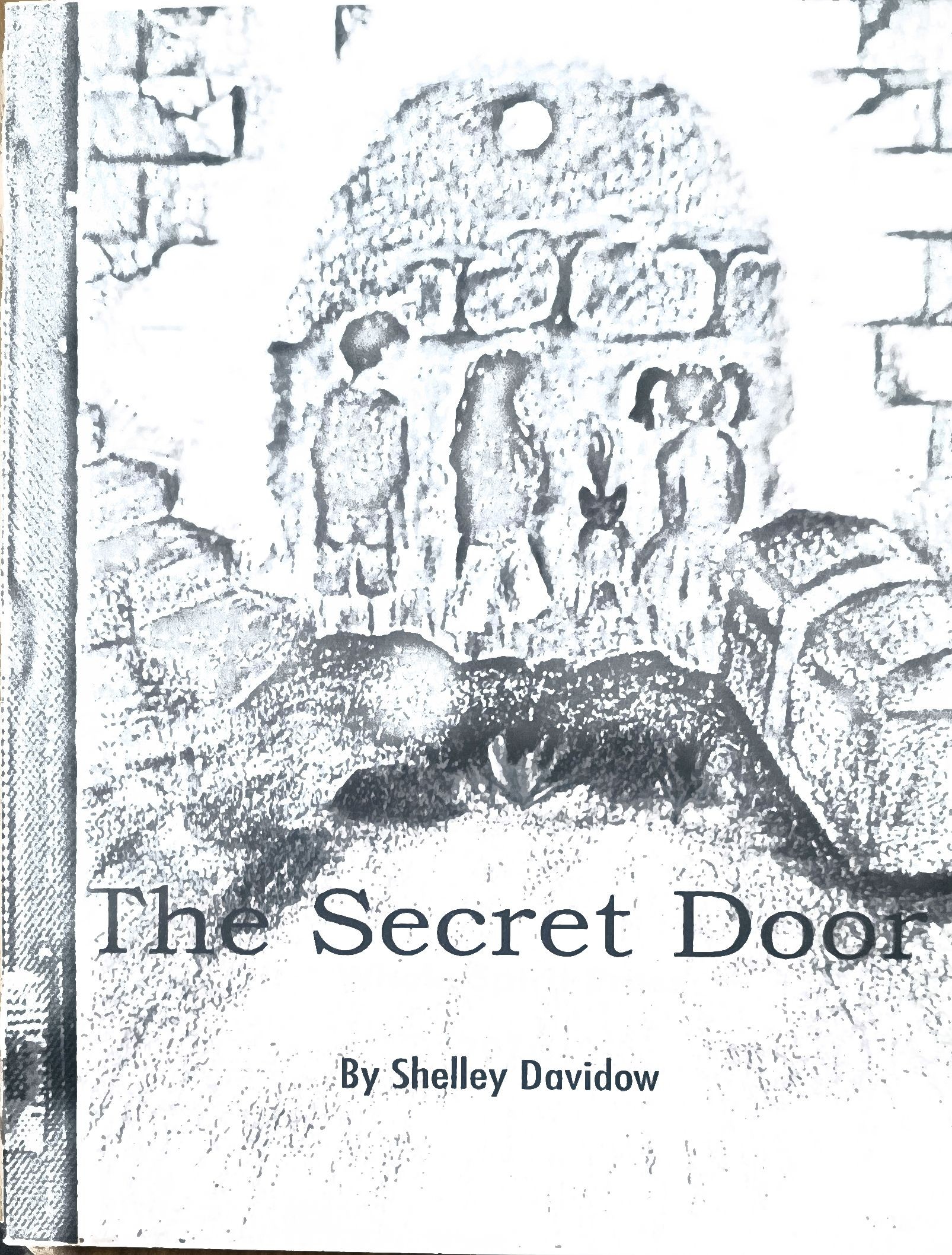 The Secret Door