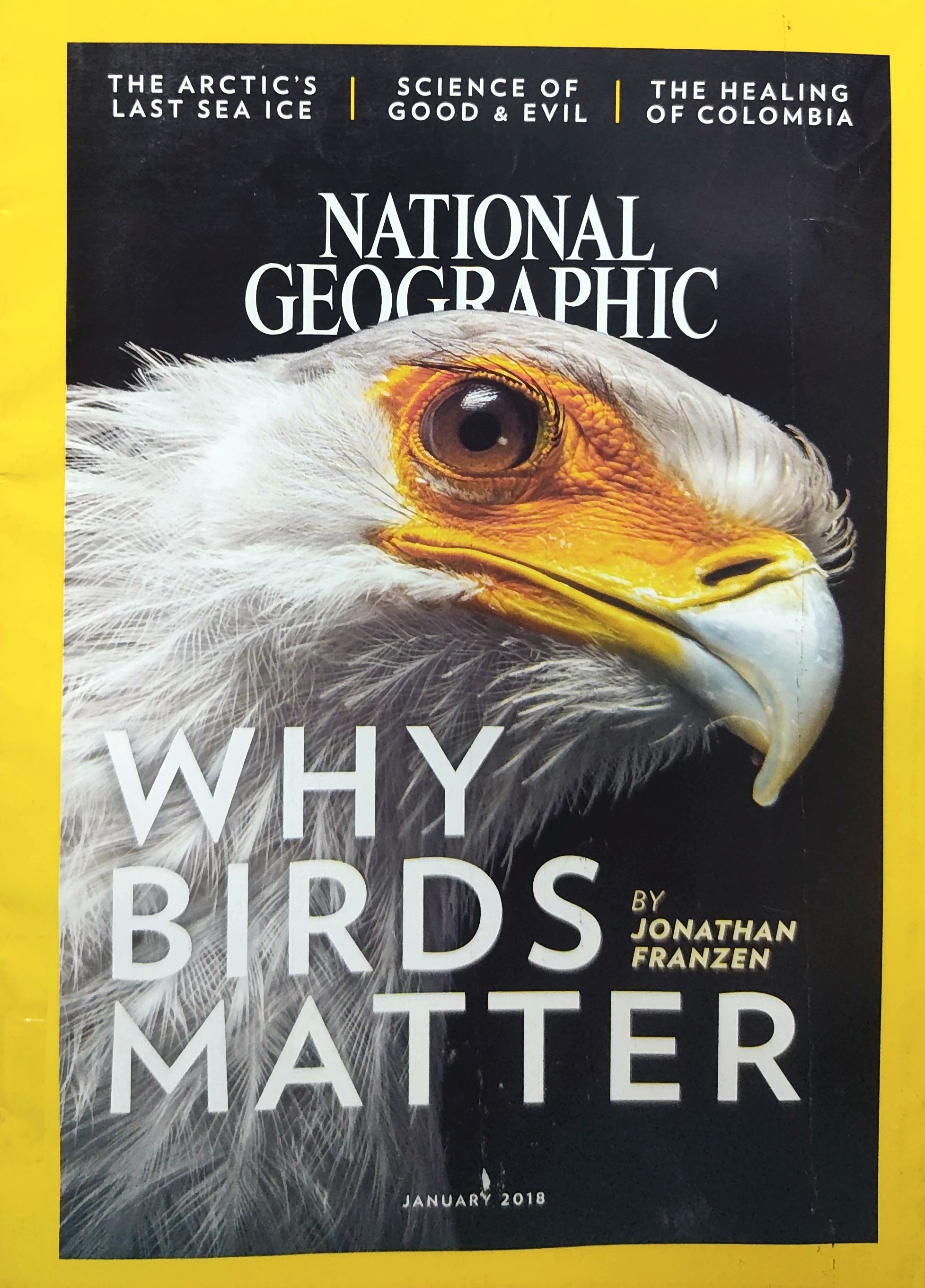 National Geographic - Why Birds Matter