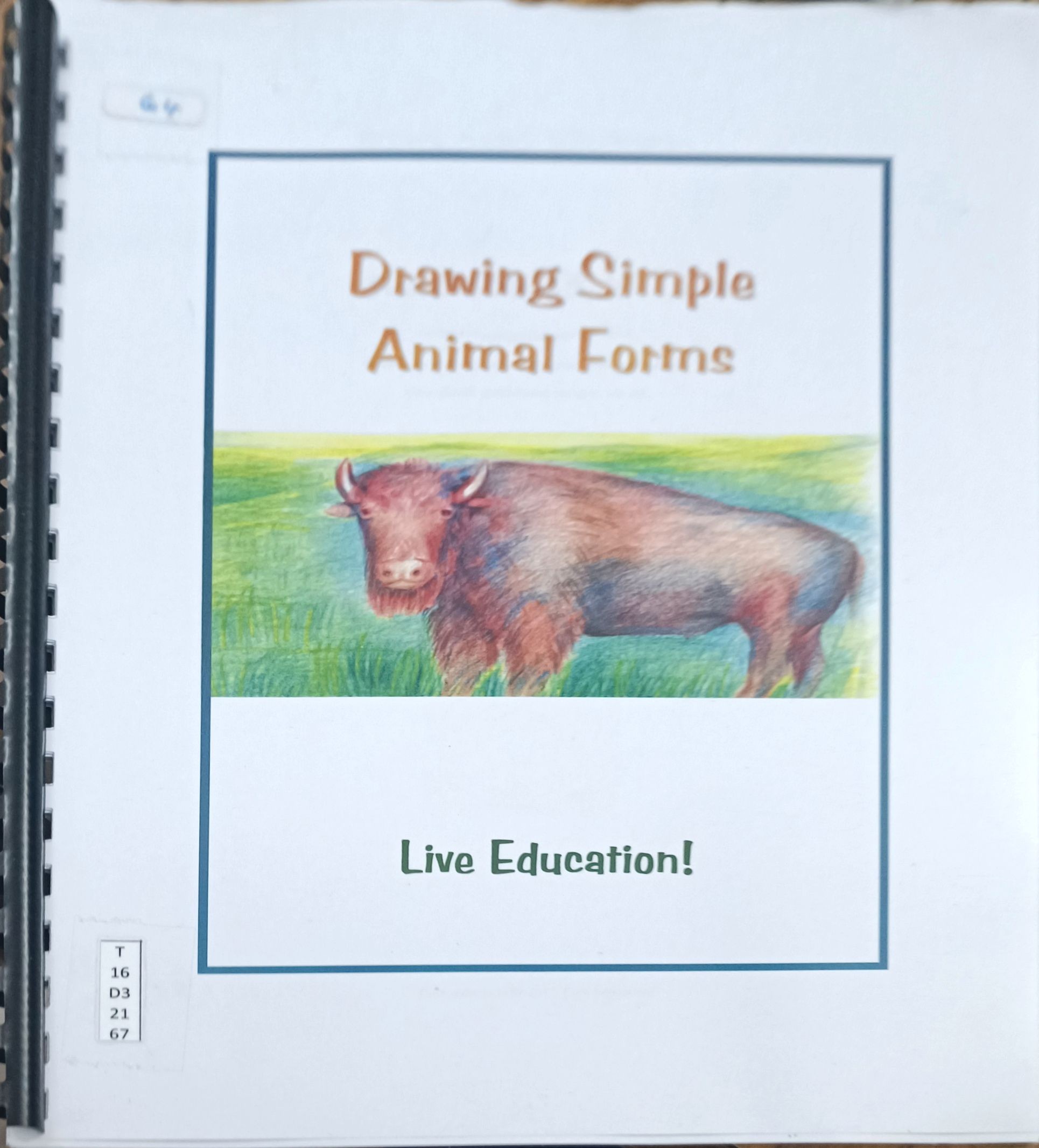 Drawing Simple Animal Forms