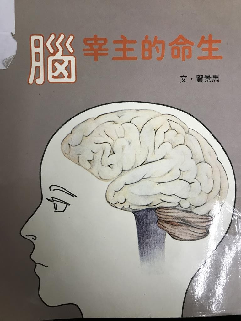 Always Follow The Elephants