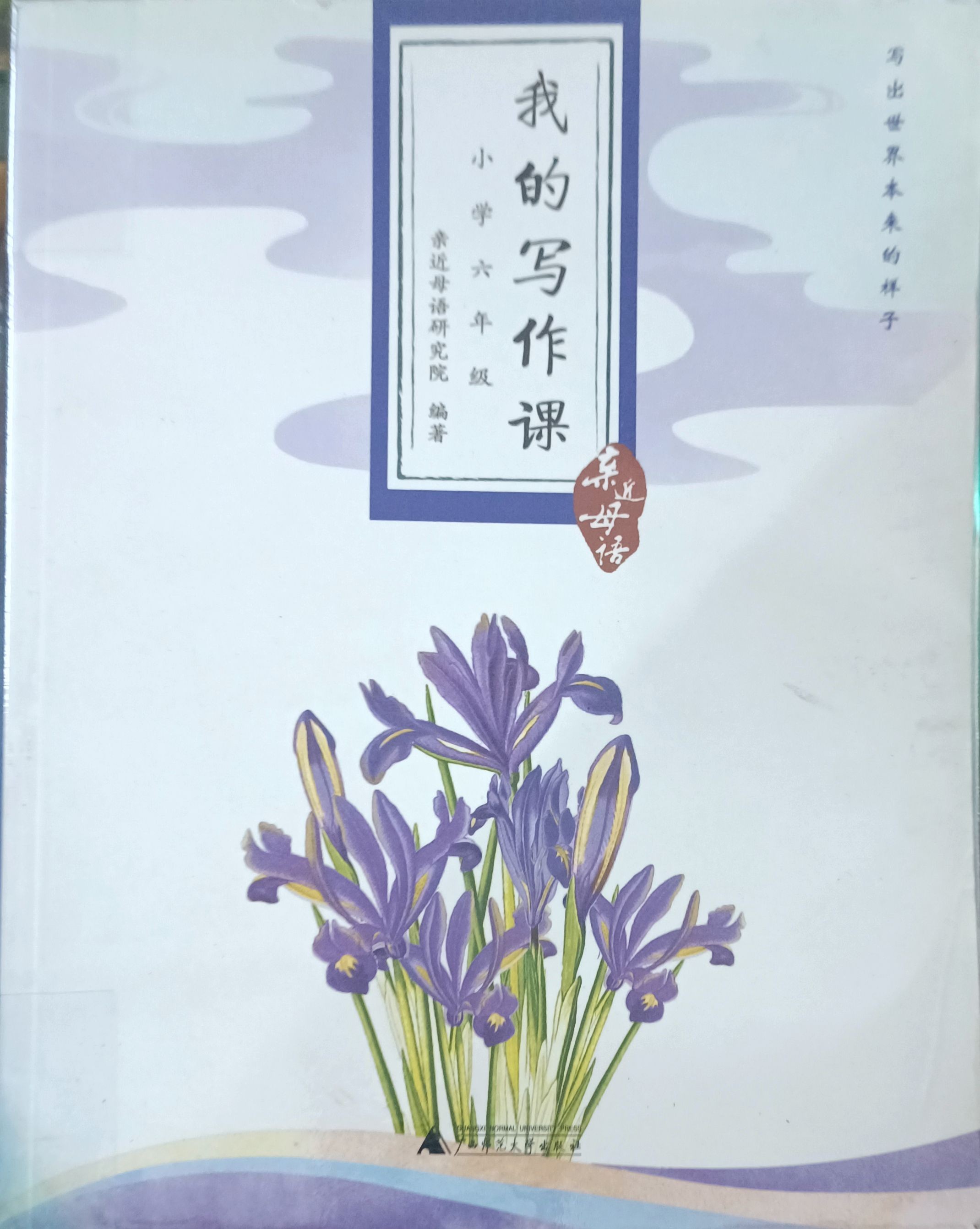 我的写作课（小学六年级）