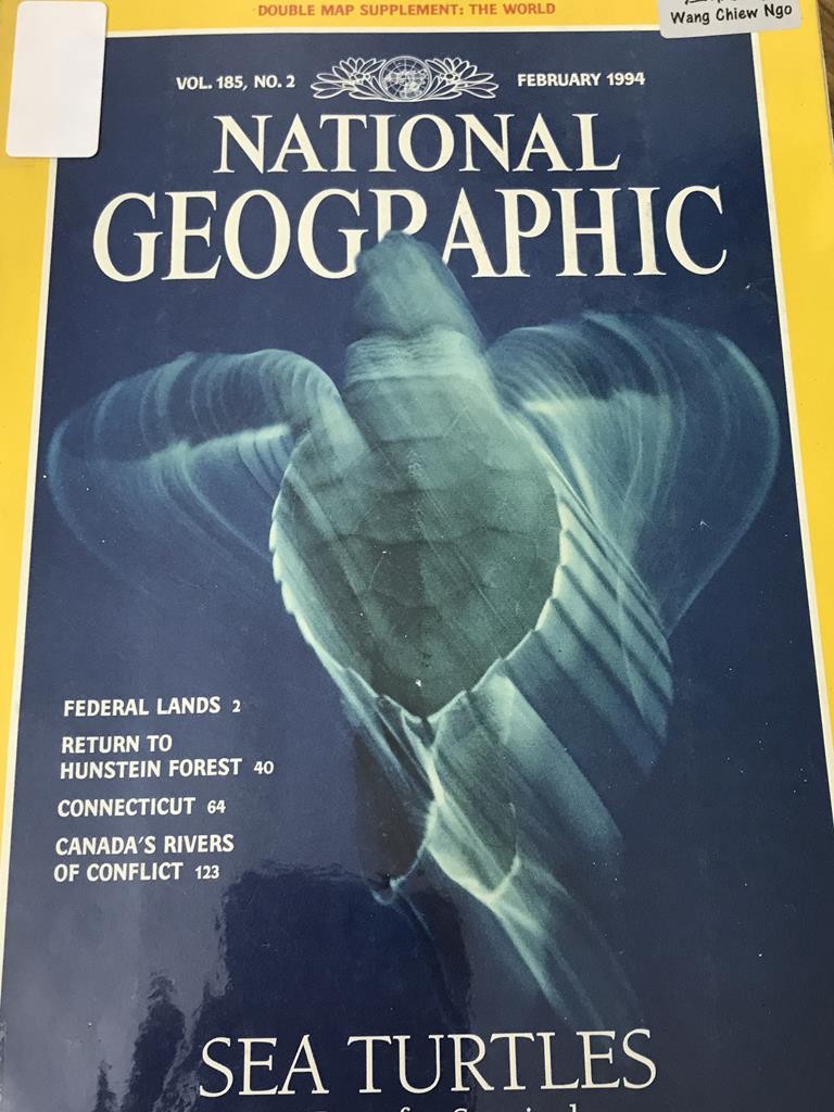 National Geographic-Sea Turtles