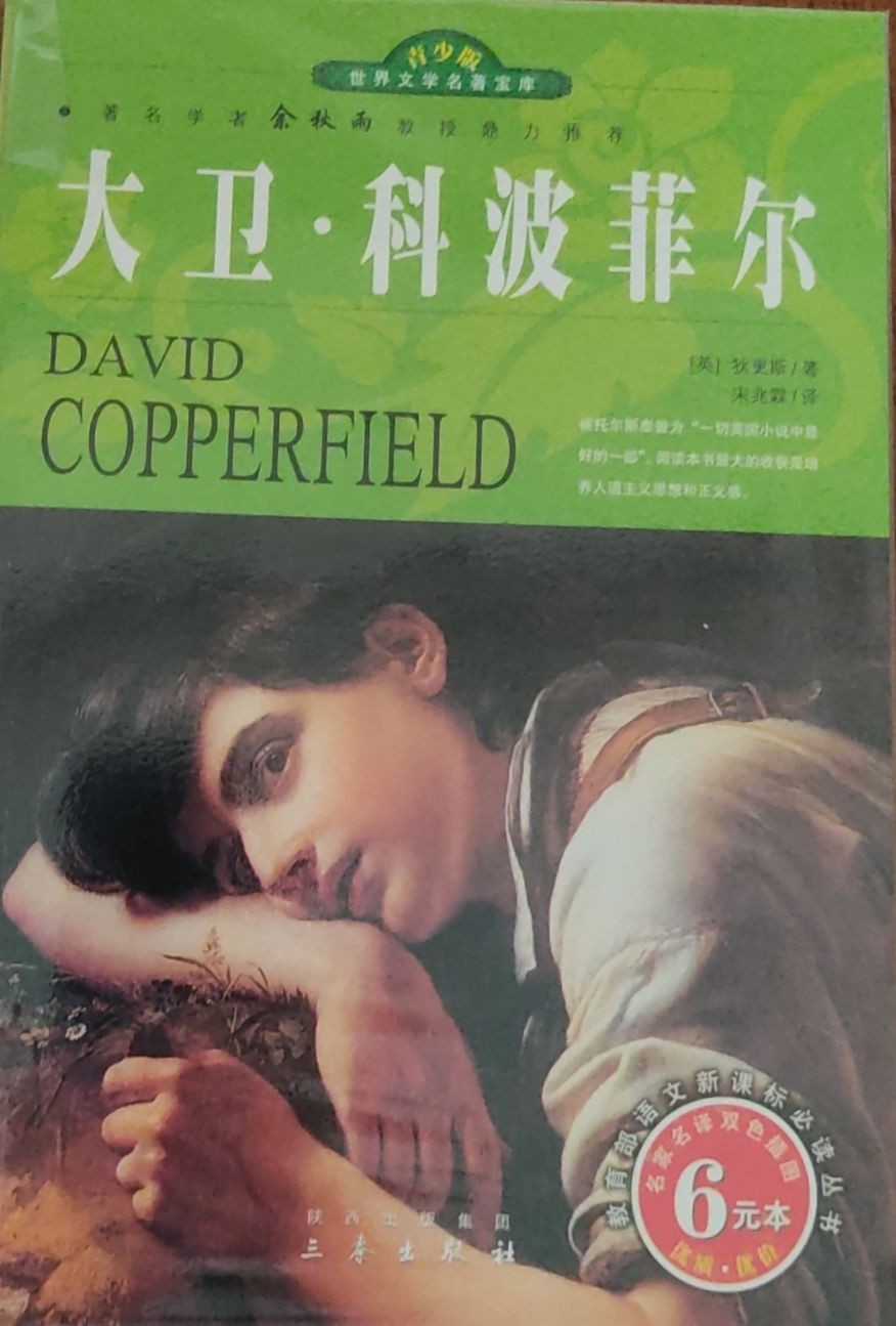 大卫 • 科波菲尔