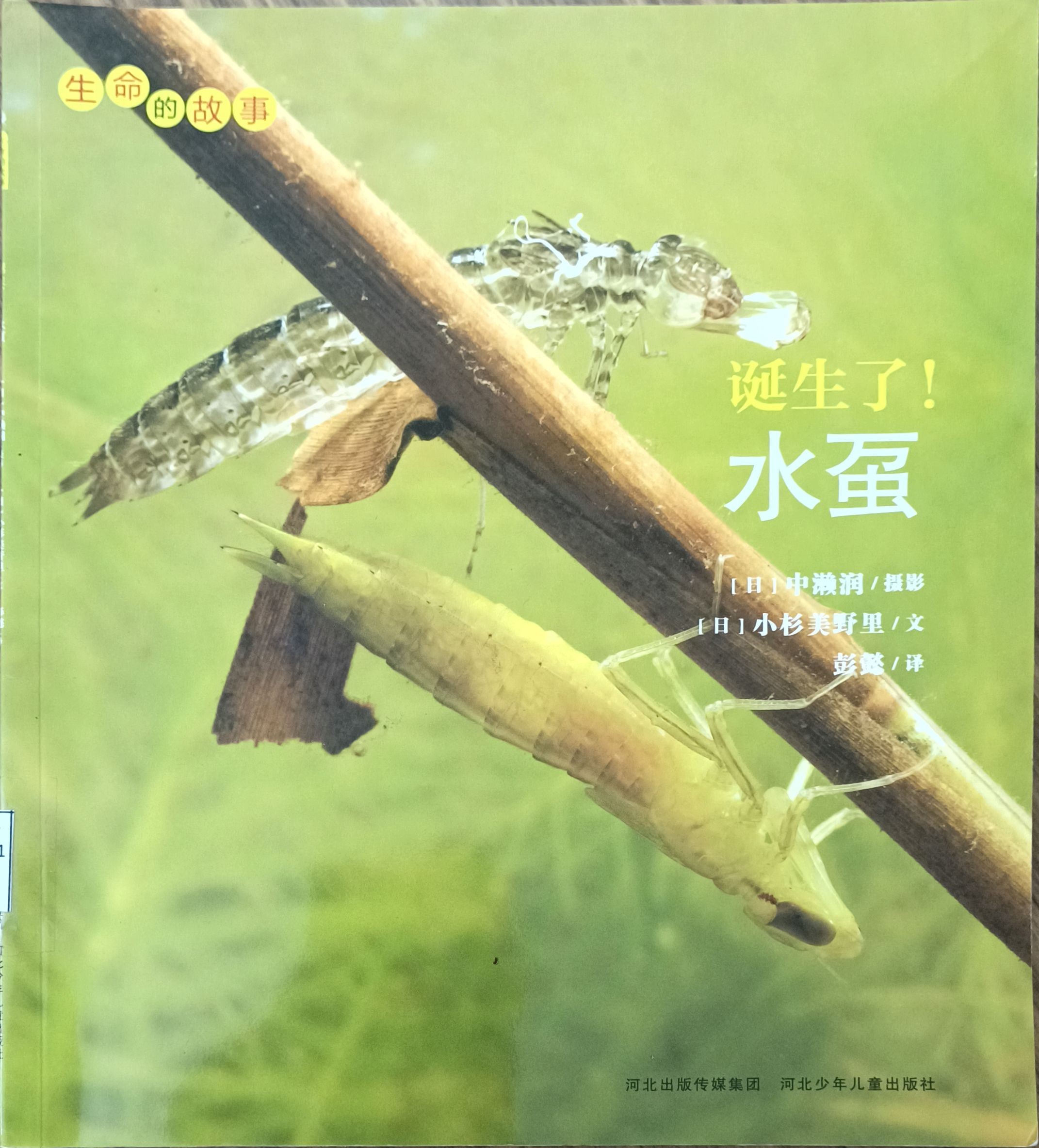 诞生了！水虿（生命的故事）