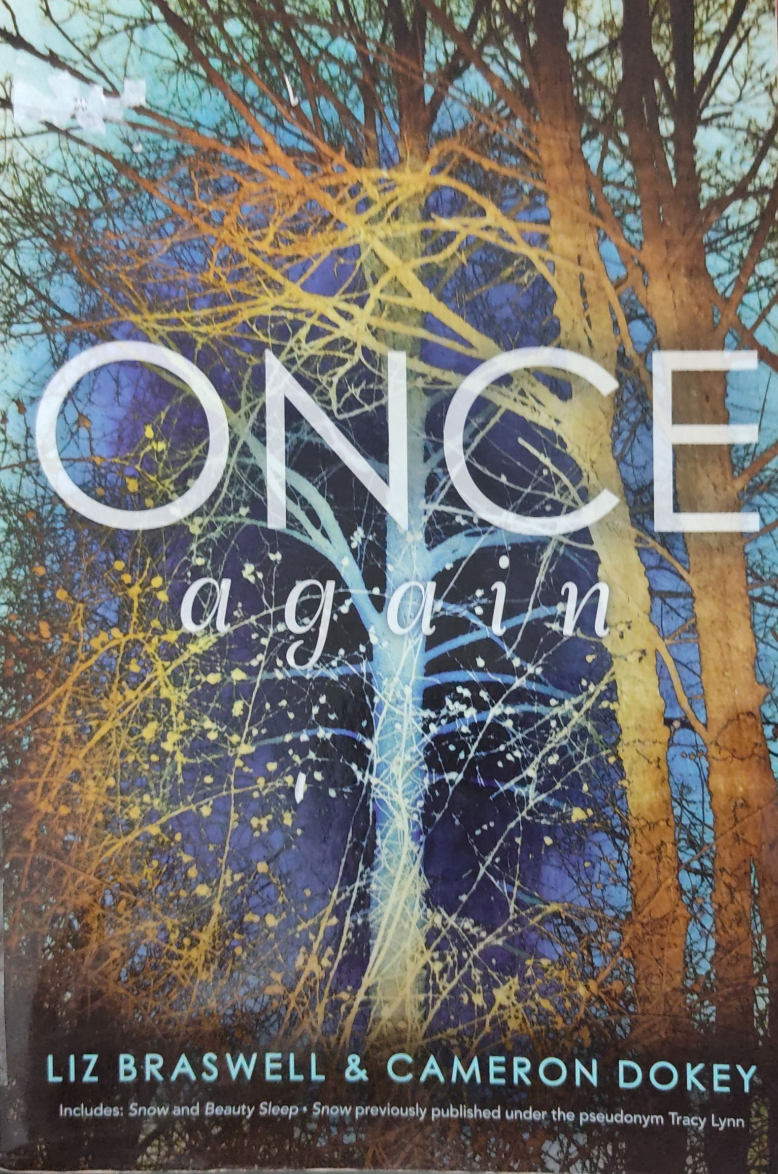 Once Again: Snow; Beauty Sleep