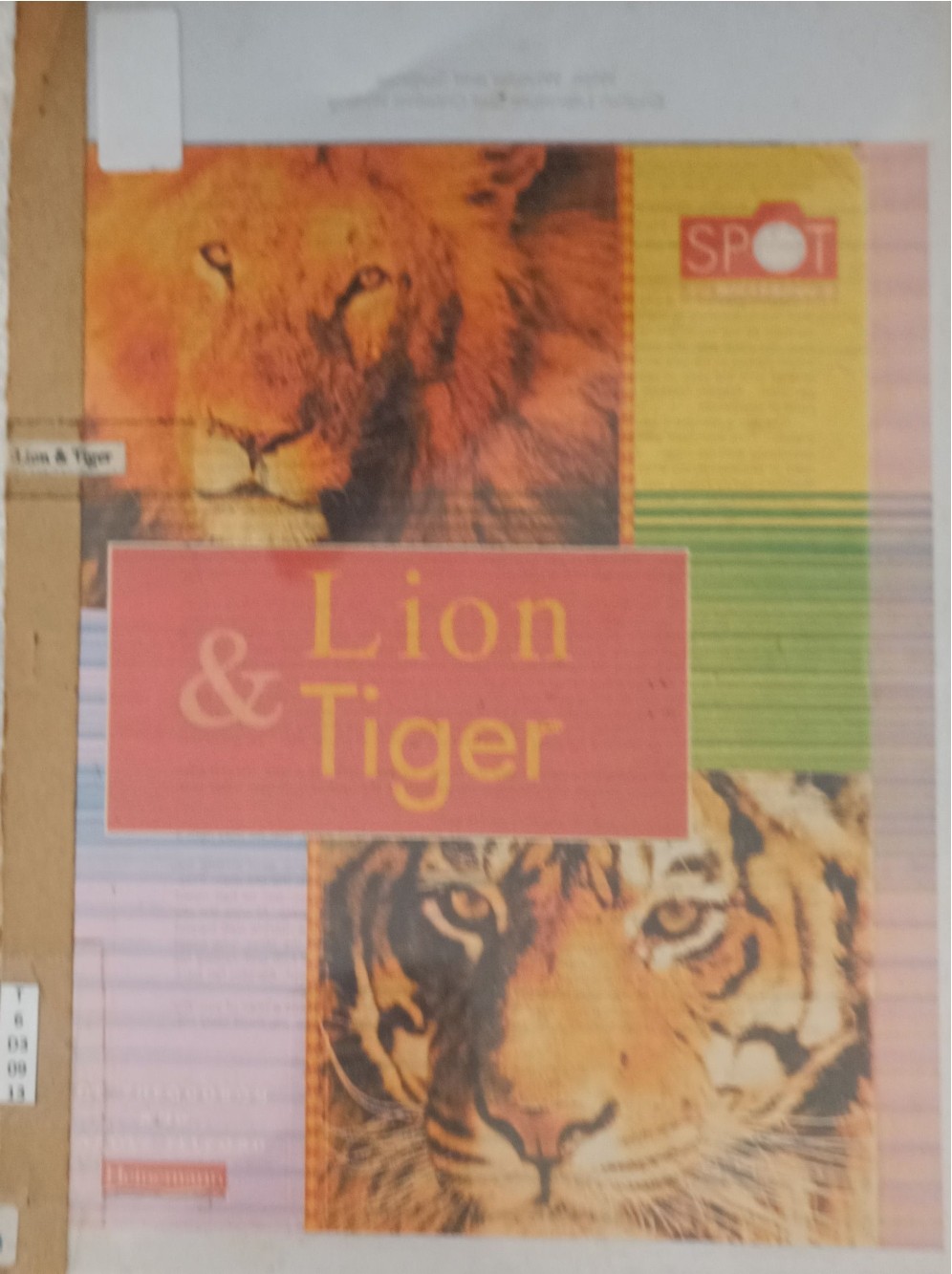 Lion & Tiger