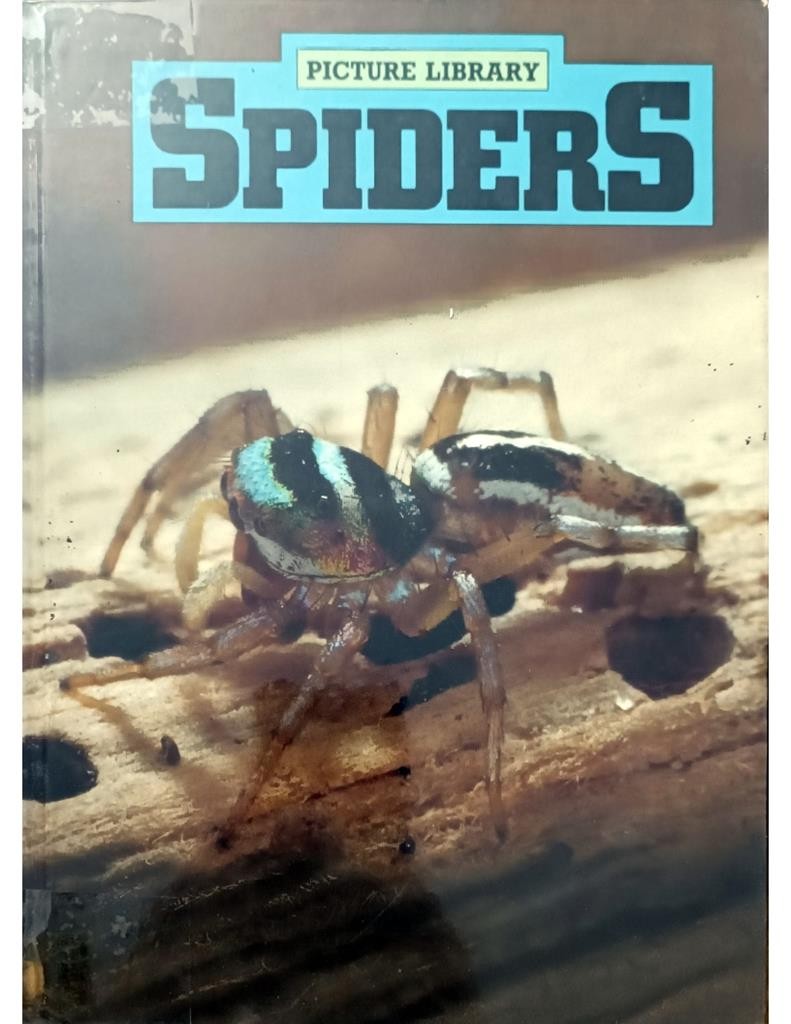 Spiders