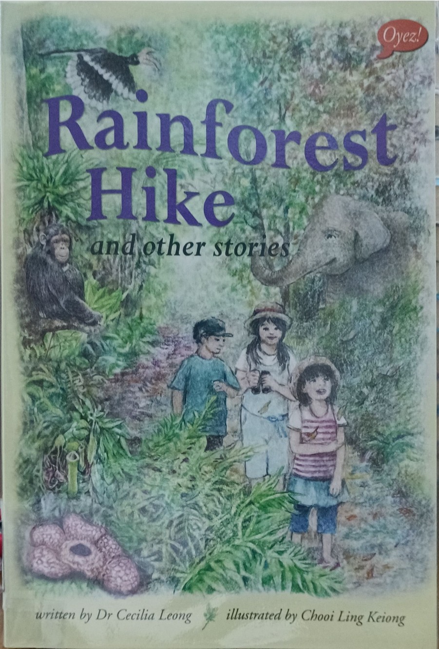 Rainforest Hike and other stories
