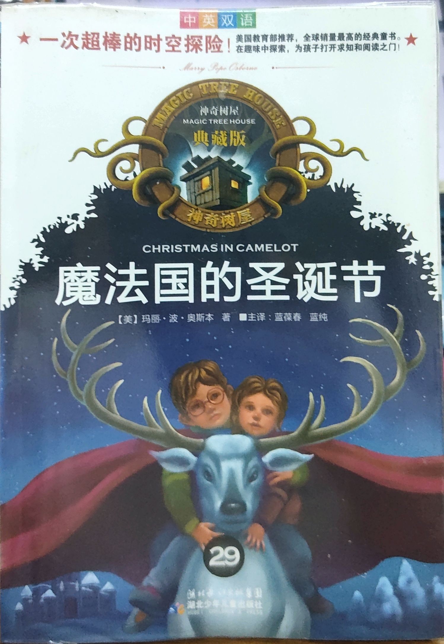  神奇树屋典藏版29：魔法国的圣诞节